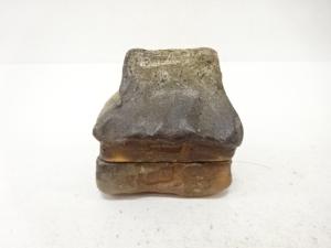 作家物　家　香合(保護箱付)